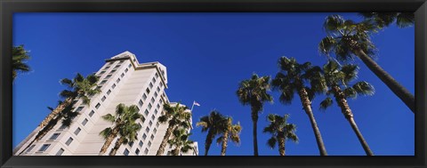 Framed Low angle view of palm trees, Downtown San Jose, San Jose, Silicon Valley, Santa Clara County, California Print
