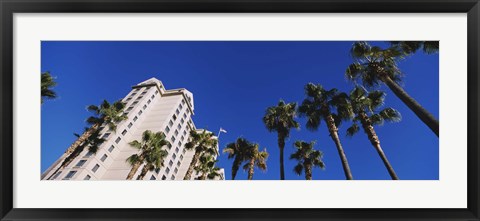Framed Low angle view of palm trees, Downtown San Jose, San Jose, Silicon Valley, Santa Clara County, California Print