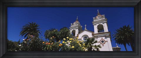 Framed Plants in front of a cathedral, Portuguese Cathedral, San Jose, Silicon Valley, Santa Clara County, California, USA Print
