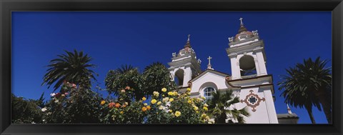 Framed Plants in front of a cathedral, Portuguese Cathedral, San Jose, Silicon Valley, Santa Clara County, California, USA Print