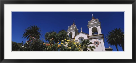 Framed Plants in front of a cathedral, Portuguese Cathedral, San Jose, Silicon Valley, Santa Clara County, California, USA Print