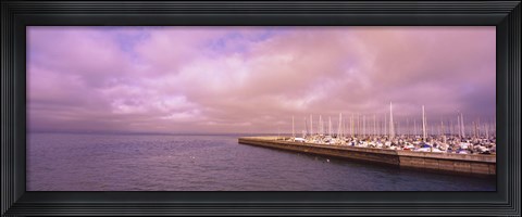 Framed Yachts moored at a harbor, San Francisco Bay, San Francisco, California, USA Print