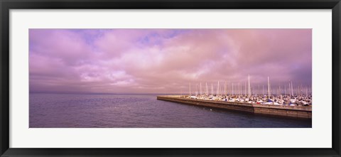 Framed Yachts moored at a harbor, San Francisco Bay, San Francisco, California, USA Print
