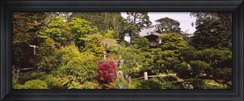 Framed Cottage in a park, Japanese Tea Garden, Golden Gate Park, San Francisco, California, USA Print