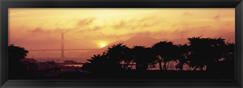 Framed Silhouette of trees at dusk with a bridge in the background, Golden Gate Bridge, San Francisco, California, USA Print