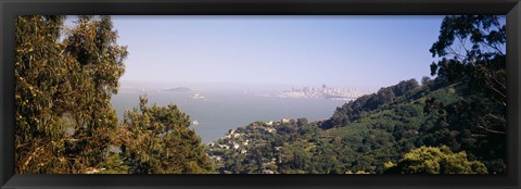 Framed Trees on a hill, Sausalito, San Francisco Bay, Marin County, California Print