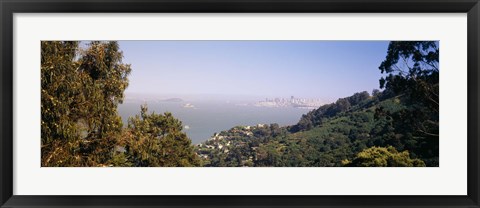 Framed Trees on a hill, Sausalito, San Francisco Bay, Marin County, California Print