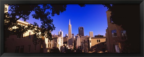 Framed Buildings in a city, Telegraph Hill, Transamerica Pyramid, San Francisco, California, USA Print