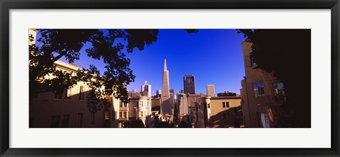 Framed Buildings in a city, Telegraph Hill, Transamerica Pyramid, San Francisco, California, USA Print