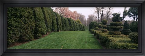 Framed Hedge in a formal garden, Ladew Topiary Gardens, Monkton, Baltimore County, Maryland Print