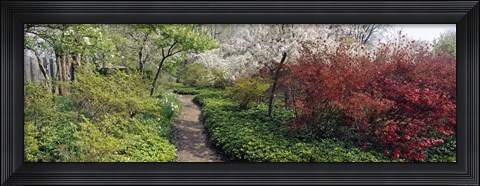 Framed Trees in a garden, Garden of Eden, Ladew Topiary Gardens, Monkton, Baltimore County, Maryland, USA Print