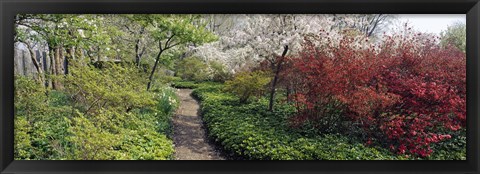 Framed Trees in a garden, Garden of Eden, Ladew Topiary Gardens, Monkton, Baltimore County, Maryland, USA Print