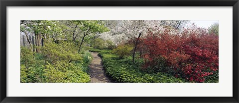 Framed Trees in a garden, Garden of Eden, Ladew Topiary Gardens, Monkton, Baltimore County, Maryland, USA Print