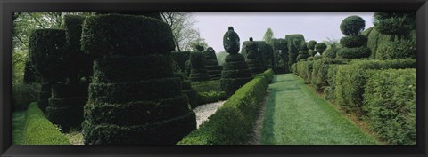 Framed Sculptures formed from trees and plants in a garden, Ladew Topiary Gardens, Monkton, Baltimore County, Maryland, USA Print