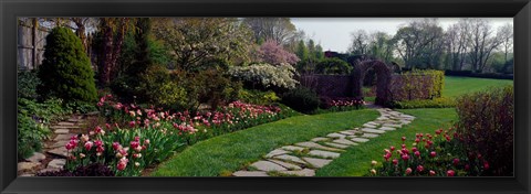 Framed Flowers in a garden, Ladew Topiary Gardens, Monkton, Baltimore County, Maryland, USA Print