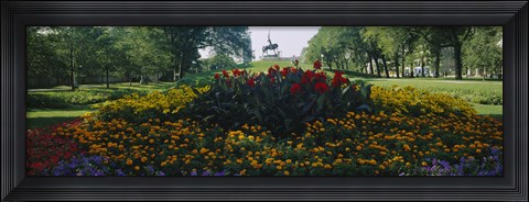 Framed Flowers in a park, Grant Park, Chicago, Cook County, Illinois, USA Print