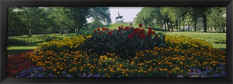 Framed Flowers in a park, Grant Park, Chicago, Cook County, Illinois, USA Print