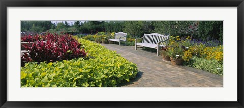 Framed Botanical garden, Circle Garden, Chicago Botanic Garden, Glencoe, Cook County Forest Preserves, Cook County, Illinois, USA Print