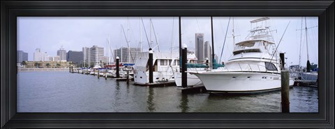 Framed Yachts at a harbor with buildings in the background, Corpus Christi, Texas, USA Print