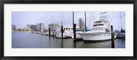 Framed Yachts at a harbor with buildings in the background, Corpus Christi, Texas, USA Print