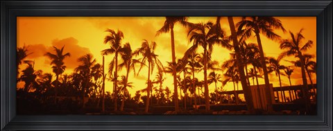 Framed Palm trees on the beach, The Setai Hotel, South Beach, Miami Beach, Florida, USA Print