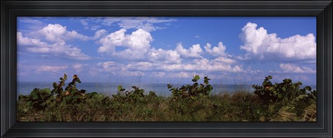 Framed Tampa Bay, Gulf Of Mexico, Anna Maria Island, Florida Print