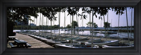 Framed Boats moored at a dock, Charles River, Boston, Suffolk County, Massachusetts, USA Print