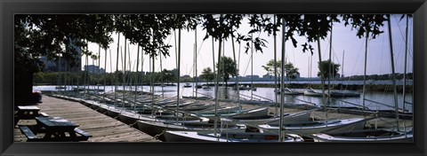 Framed Boats moored at a dock, Charles River, Boston, Suffolk County, Massachusetts, USA Print