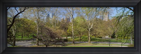 Framed Trees in a park, Central Park West, Central Park, Manhattan, New York City, New York State, USA Print
