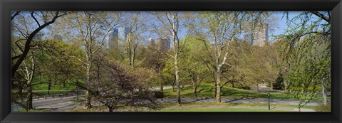 Framed Trees in a park, Central Park West, Central Park, Manhattan, New York City, New York State, USA Print