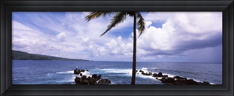 Framed Palm tree on the coast, Honolulu Nui Bay, Nahiku, Maui, Hawaii, USA Print