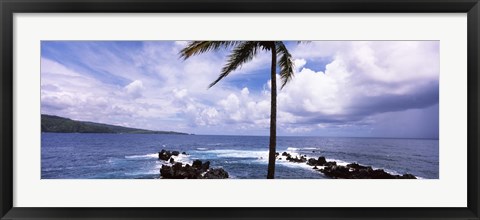 Framed Palm tree on the coast, Honolulu Nui Bay, Nahiku, Maui, Hawaii, USA Print