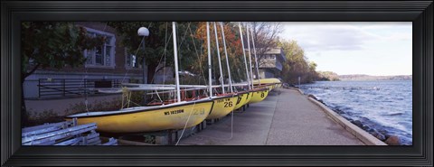 Framed Sailboats in a row, University of Wisconsin, Madison, Dane County, Wisconsin, USA Print