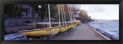 Framed Sailboats in a row, University of Wisconsin, Madison, Dane County, Wisconsin, USA Print