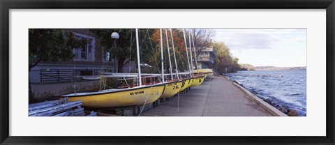 Framed Sailboats in a row, University of Wisconsin, Madison, Dane County, Wisconsin, USA Print