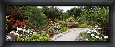 Framed Bench in a garden, Olbrich Botanical Gardens, Madison, Wisconsin, USA Print