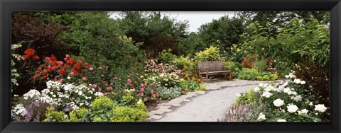 Framed Bench in a garden, Olbrich Botanical Gardens, Madison, Wisconsin, USA Print