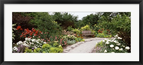 Framed Bench in a garden, Olbrich Botanical Gardens, Madison, Wisconsin, USA Print