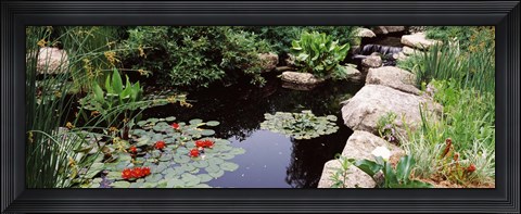 Framed Sunken Garden, Olbrich Botanical Gardens, Madison, Wisconsin Print