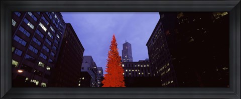 Framed Low angle view of a Christmas tree, San Francisco, California, USA Print