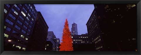 Framed Low angle view of a Christmas tree, San Francisco, California, USA Print