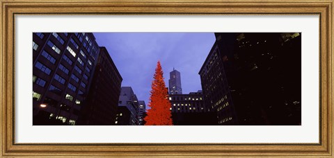 Framed Low angle view of a Christmas tree, San Francisco, California, USA Print