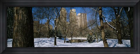 Framed Bare trees with buildings in the background, Central Park, Manhattan, New York City, New York State, USA Print