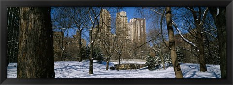 Framed Bare trees with buildings in the background, Central Park, Manhattan, New York City, New York State, USA Print