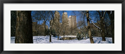 Framed Bare trees with buildings in the background, Central Park, Manhattan, New York City, New York State, USA Print