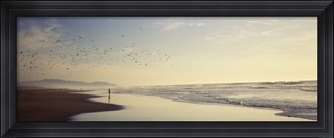 Framed Flock of seagulls flying above a woman on the beach, San Francisco, California, USA Print