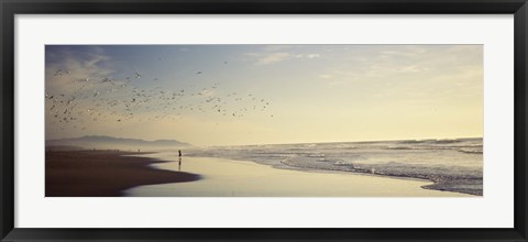 Framed Flock of seagulls flying above a woman on the beach, San Francisco, California, USA Print