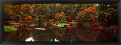 Framed Reflection of trees in water, Japanese Tea Garden, Golden Gate Park, Asian Art Museum, San Francisco, California, USA Print