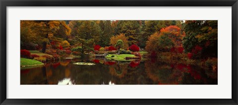 Framed Reflection of trees in water, Japanese Tea Garden, Golden Gate Park, Asian Art Museum, San Francisco, California, USA Print