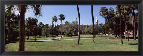 Framed Trees in a campus, University Of Tampa, Florida Print